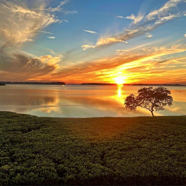 water view