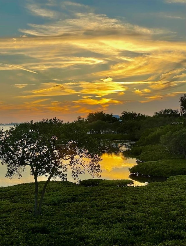 nature at dusk with a water view