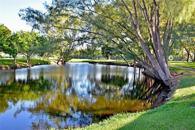 view of water feature