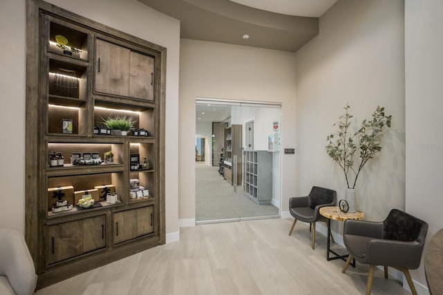 hall featuring light hardwood / wood-style flooring