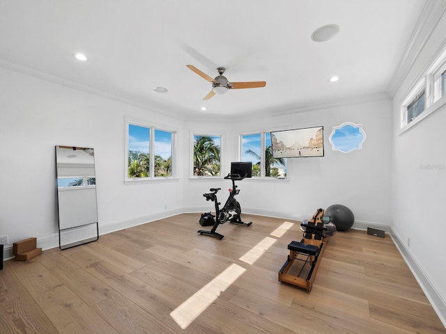 exercise room with crown molding, ceiling fan, a wealth of natural light, and light wood-type flooring