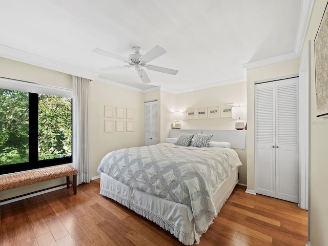 bedroom featuring two closets, ornamental molding, ceiling fan, and hardwood / wood-style flooring