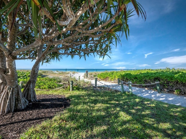 view of yard with a water view