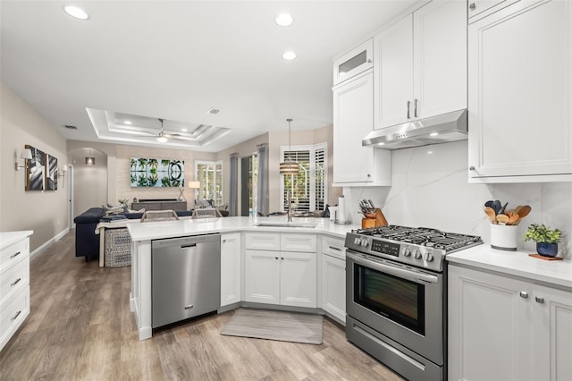 kitchen with a tray ceiling, appliances with stainless steel finishes, open floor plan, a peninsula, and under cabinet range hood