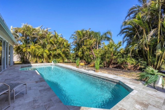 view of pool featuring a patio