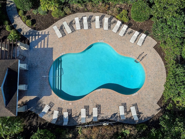 view of swimming pool with a patio