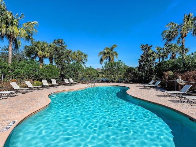 pool with a patio area