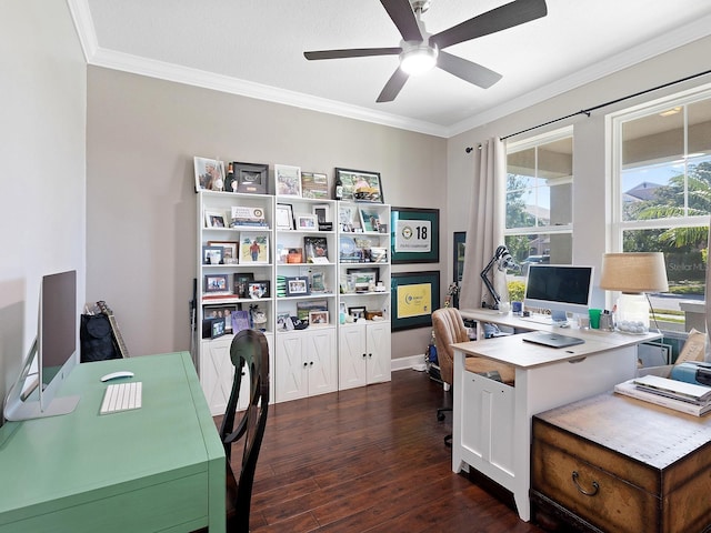 office space with ornamental molding, dark wood-style flooring, and a ceiling fan