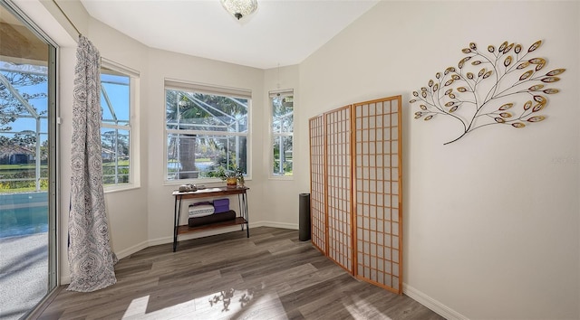 interior space featuring dark hardwood / wood-style floors