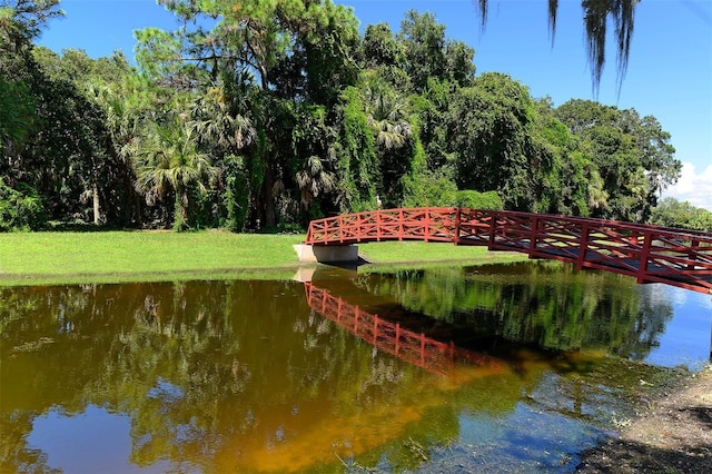 view of community featuring a water view and a yard