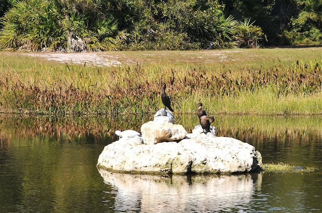 view of water feature