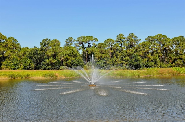 view of water feature