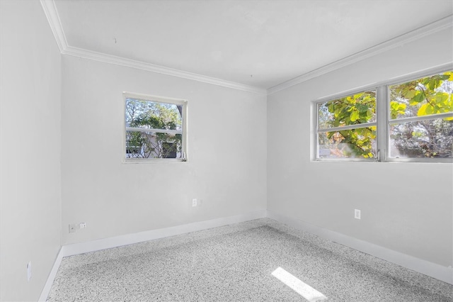 spare room featuring ornamental molding