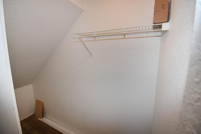 walk in closet with lofted ceiling