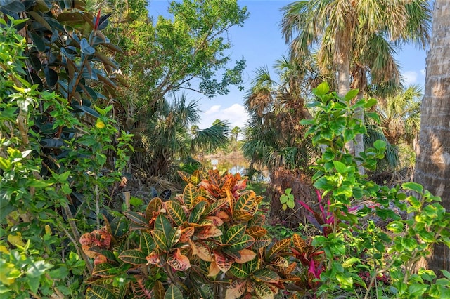 view of landscape