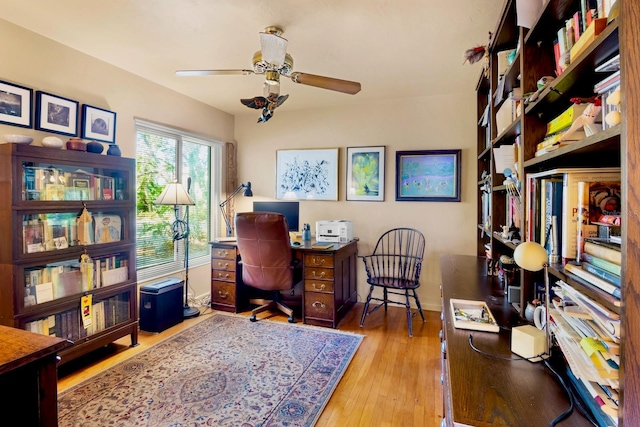 office featuring light hardwood / wood-style flooring and ceiling fan