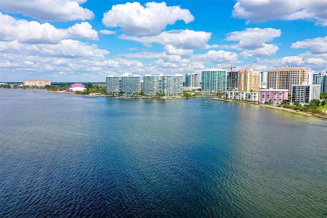 view of water feature featuring a city view