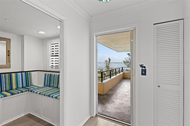 doorway featuring crown molding and hardwood / wood-style floors