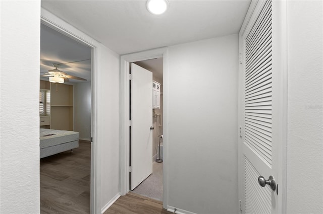 hallway featuring hardwood / wood-style floors