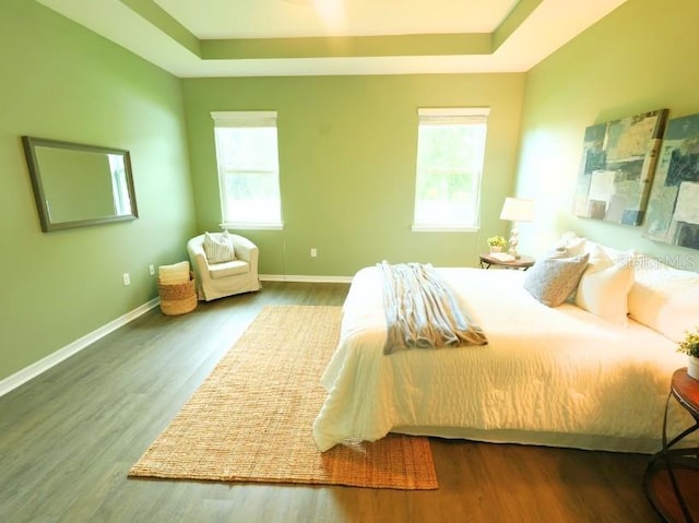 5718 Broad River Run, Ellenton, FL 34222 - bedroom featuring a tray ceiling, multiple windows, and wood finished floors