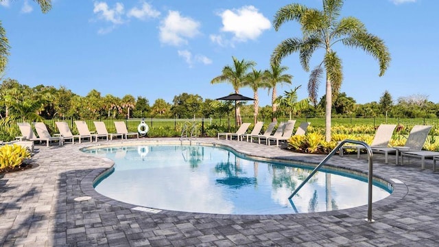 view of pool featuring a patio area