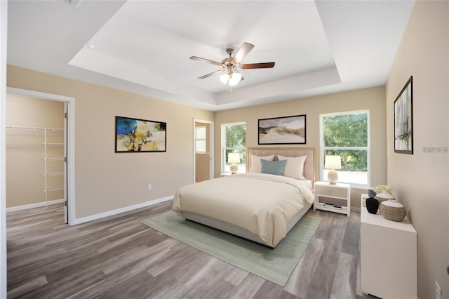 bedroom featuring a raised ceiling, wood-type flooring, a walk in closet, and multiple windows