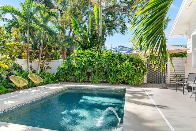 view of swimming pool with a patio