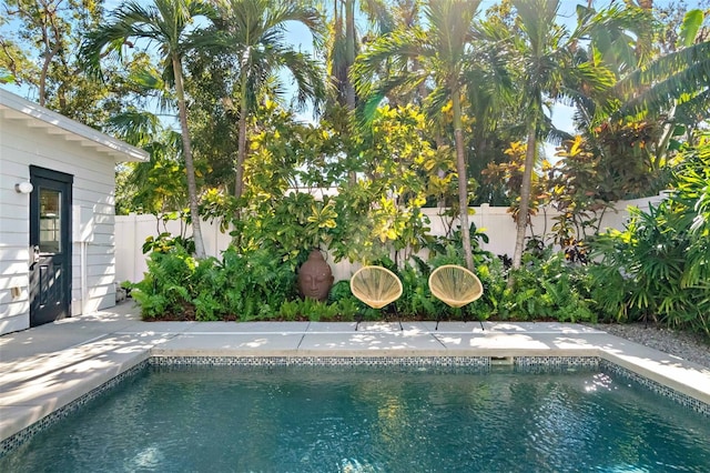 view of swimming pool with a patio