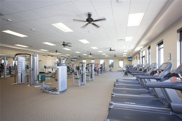 gym with a drop ceiling and ceiling fan