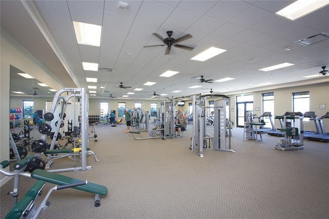 exercise room featuring ceiling fan and a paneled ceiling