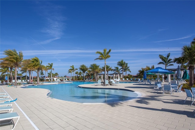 view of swimming pool with a patio