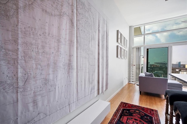 hall featuring a wall of windows, a healthy amount of sunlight, and light hardwood / wood-style flooring