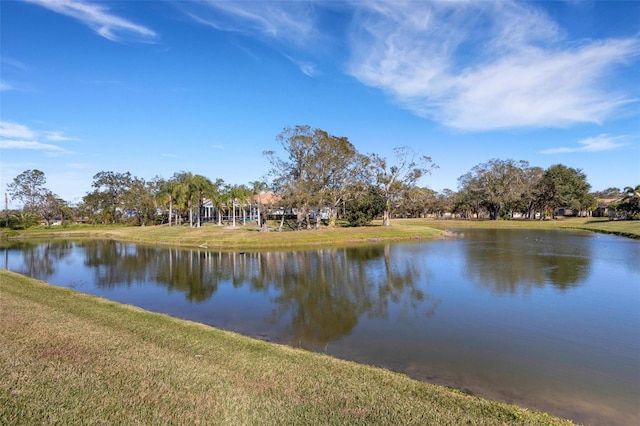 view of water feature