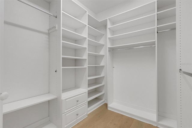 spacious closet with light hardwood / wood-style floors