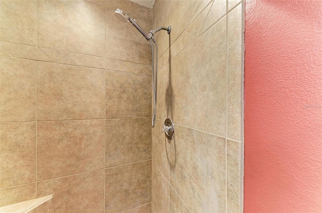 interior details featuring tiled shower