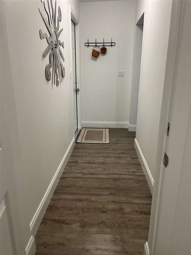 hallway with dark wood-type flooring