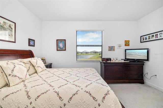 bedroom with carpet