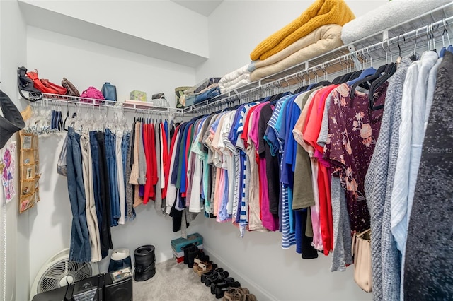 spacious closet with carpet flooring