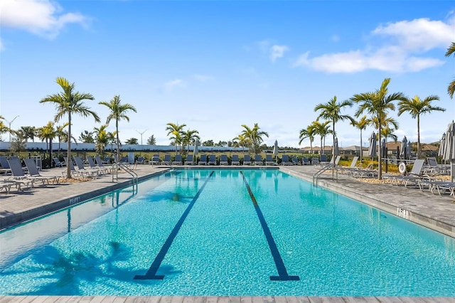 view of swimming pool featuring a patio area