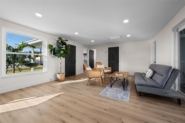 living room featuring light hardwood / wood-style floors