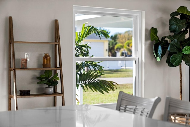 entryway featuring a wealth of natural light