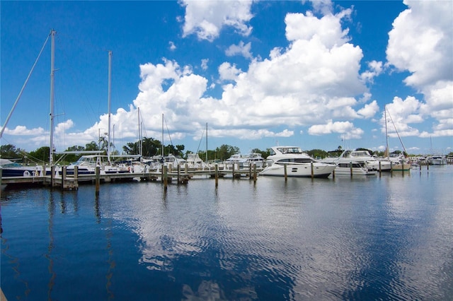 view of water feature with a boat dock