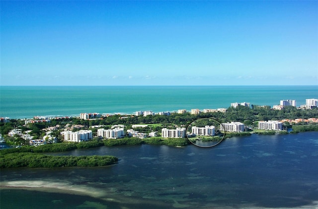 bird's eye view with a water view