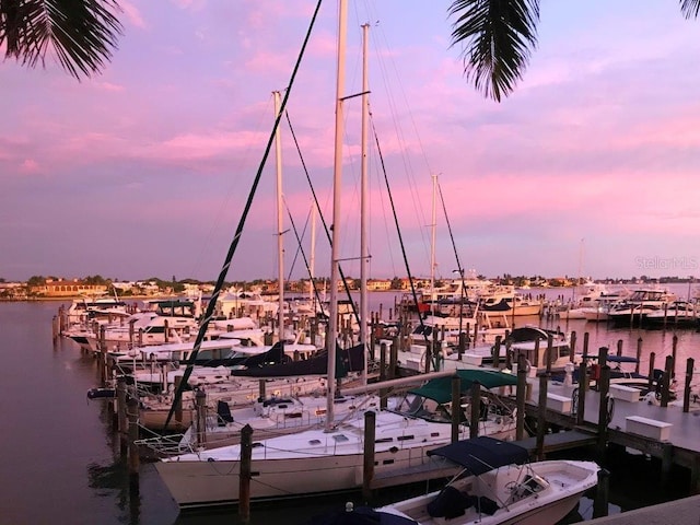 dock area with a water view