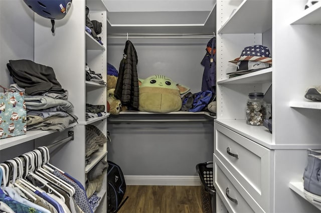 spacious closet featuring dark wood-type flooring