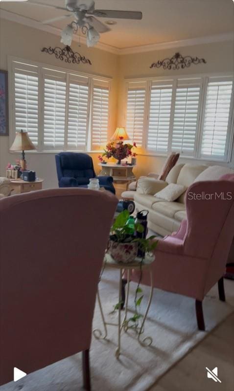 living room featuring ornamental molding and ceiling fan