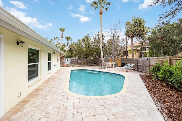 view of pool with a patio