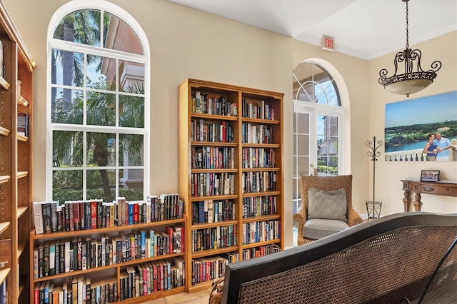 living area featuring crown molding