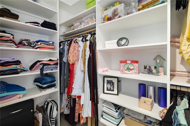 view of walk in closet