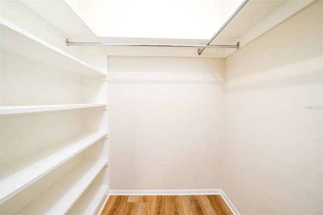 walk in closet featuring hardwood / wood-style flooring